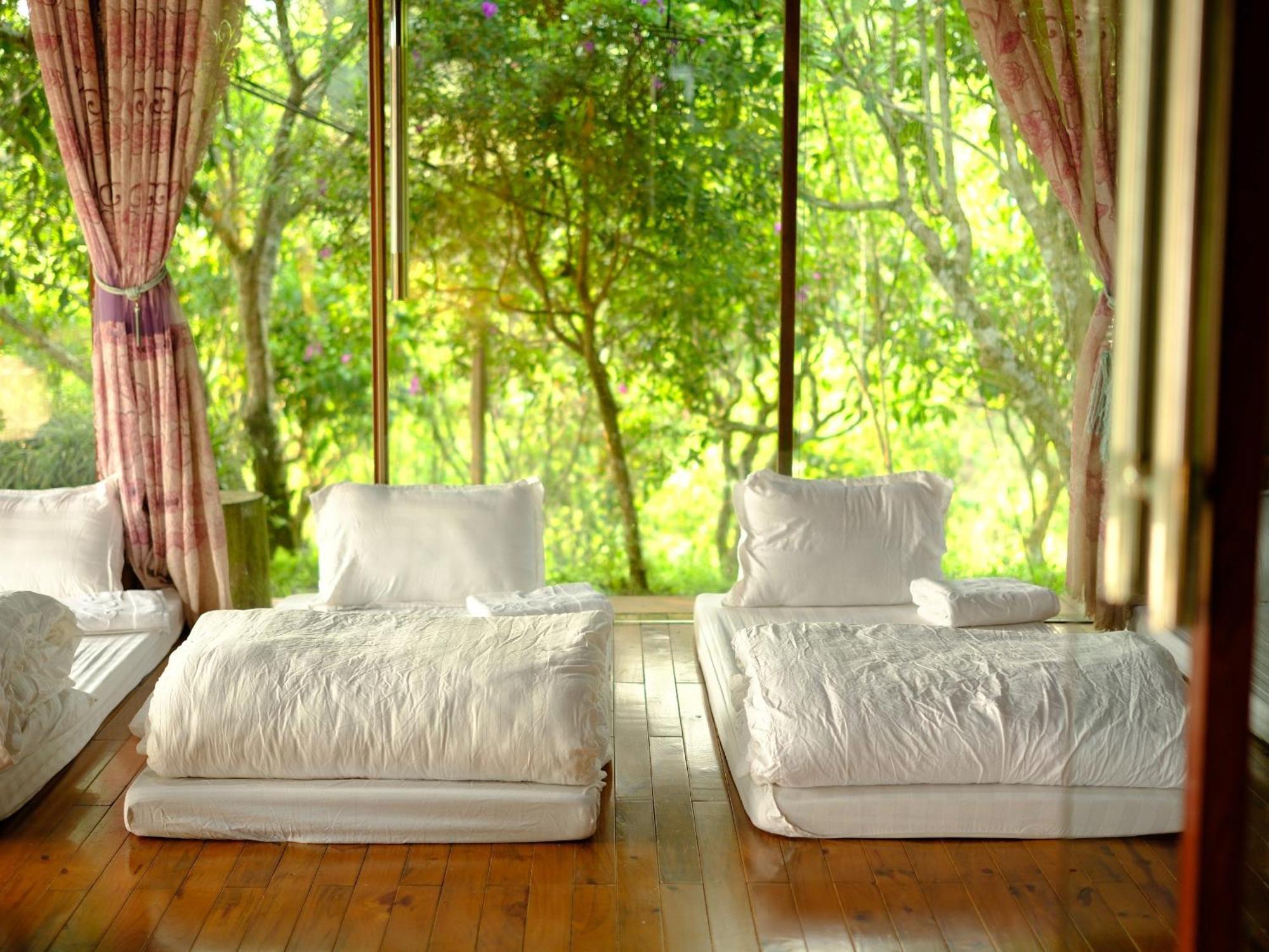 Không gian văn hóa trà Suối Giàng Nghia Lo Extérieur photo