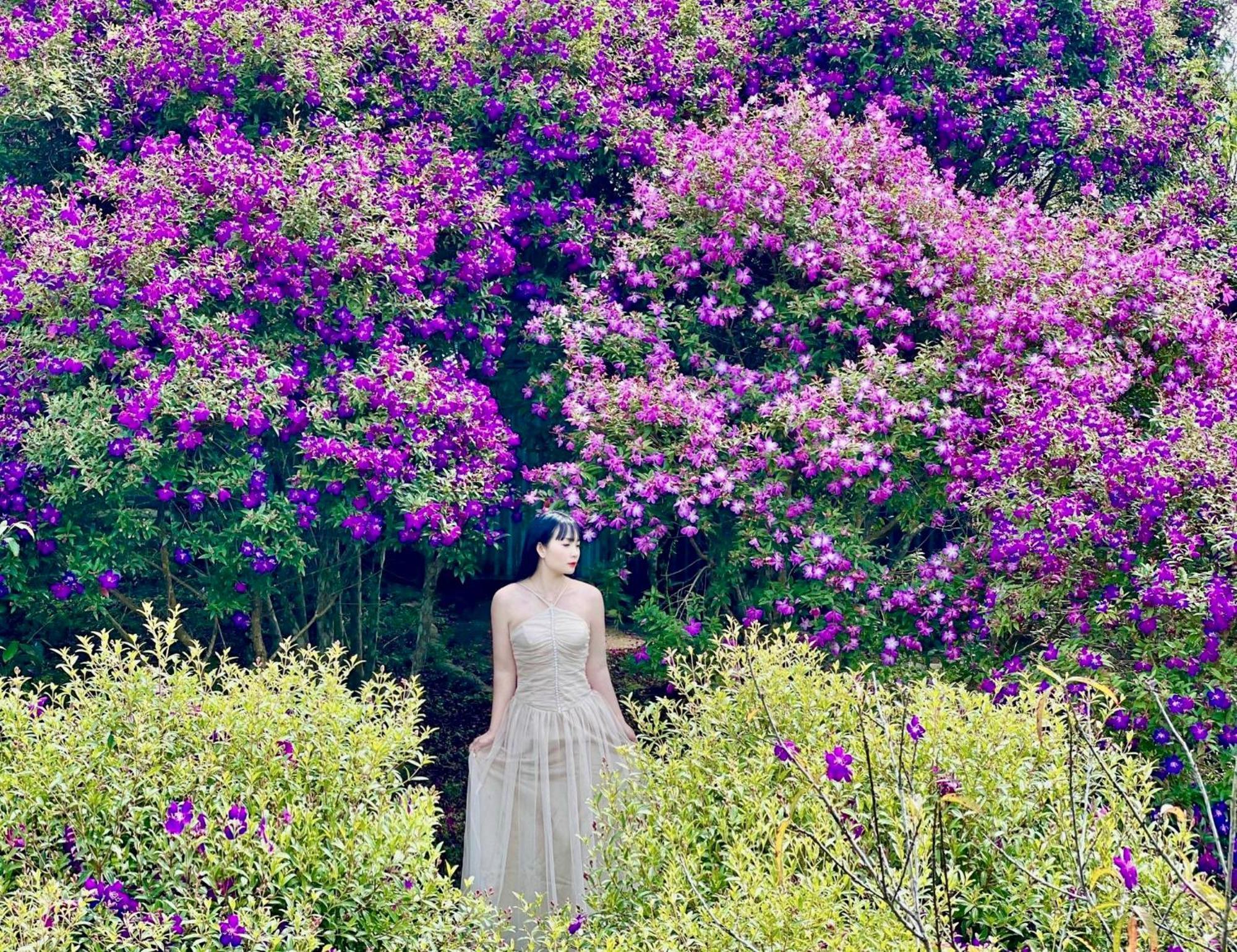 Không gian văn hóa trà Suối Giàng Nghia Lo Extérieur photo